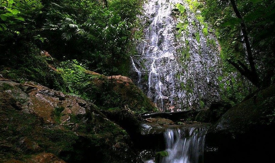 Parque Nacional La Tigra, Near Tegucigalpa, Honduras